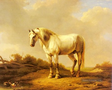  Stall Kunst - Ein weißer Hengst in einer Landschaft Eugene Verboeckhoven Pferd
